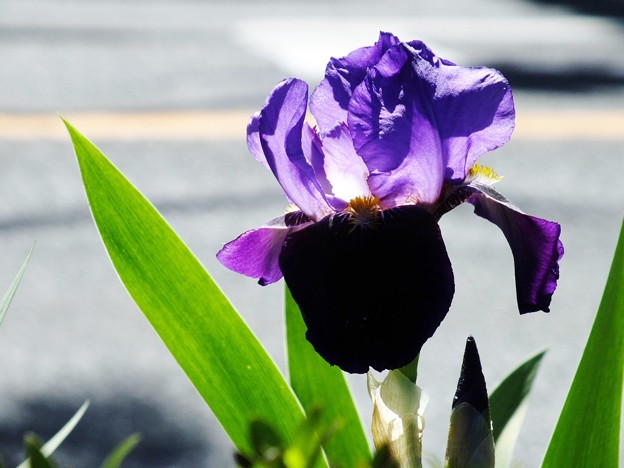 DSCF0129