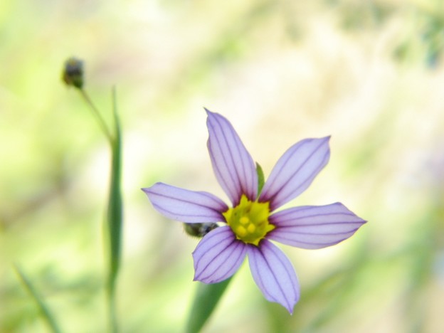 DSCF0134