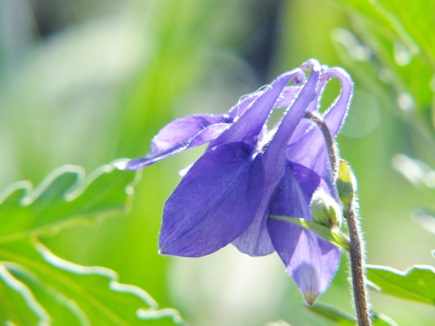 DSCF0159