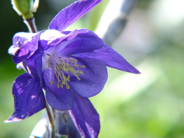 DSCF0206