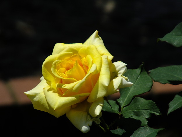 DSCF0125