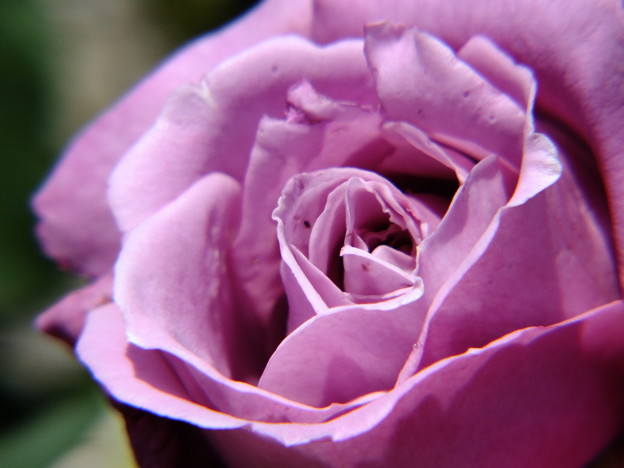 DSCF0111