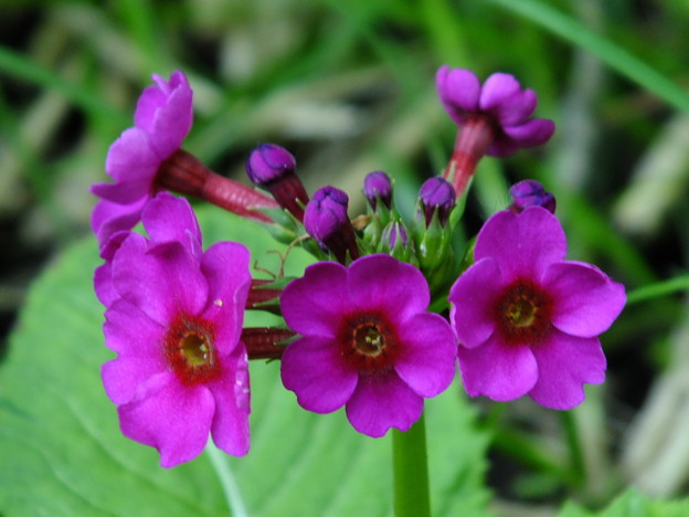 DSCF0046