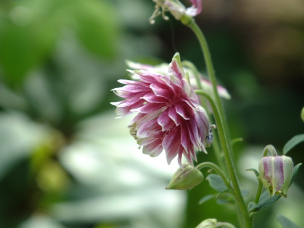 DSCF0435