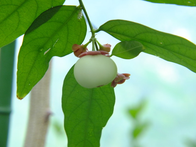 DSCF0557