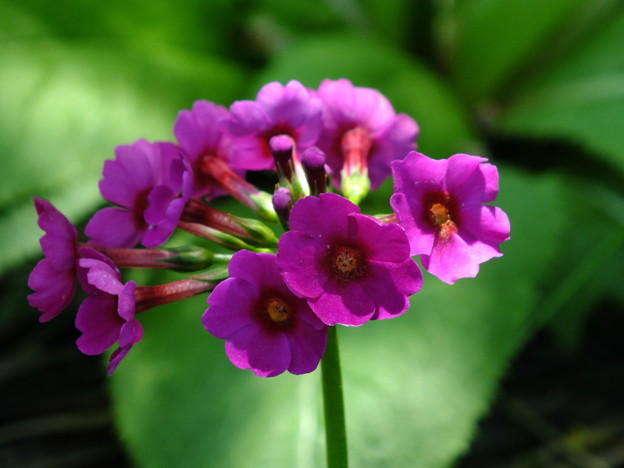 DSCF0047