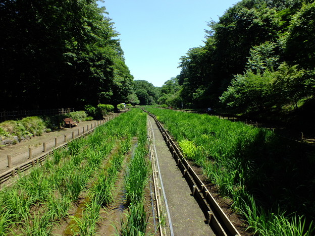 DSCF0005
