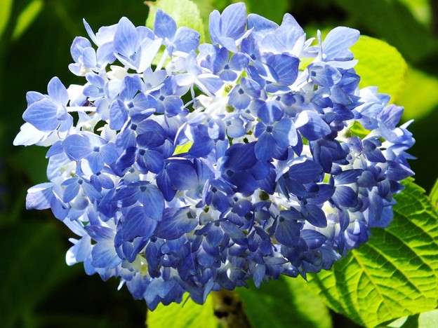 DSCF0030