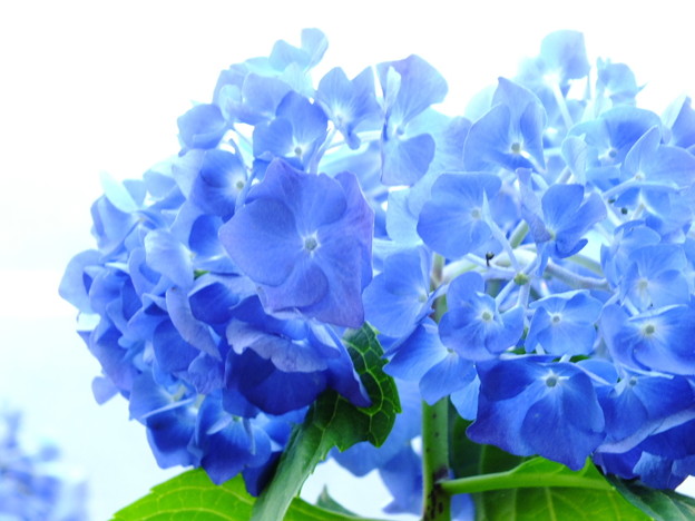 DSCF0317