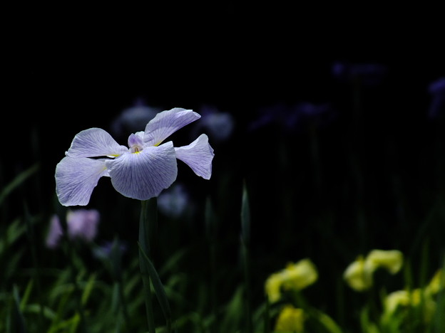 DSCF0244