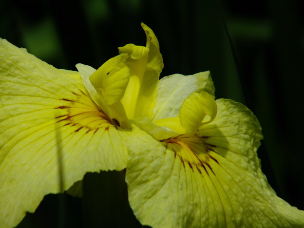 DSCF0061