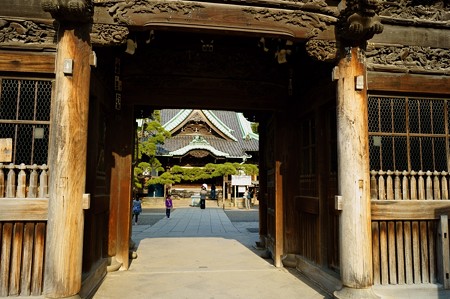 柴又帝釈天 二天門から覗き見る帝釈堂