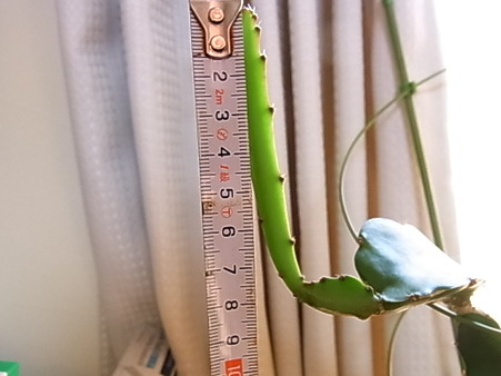 R0014675
