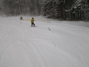 IMGP2565_R
