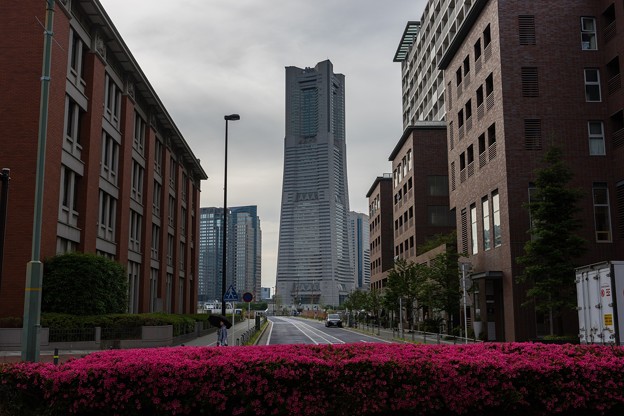 s-DSC00618