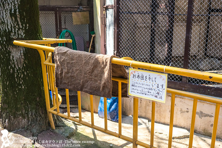 ikeda150328001