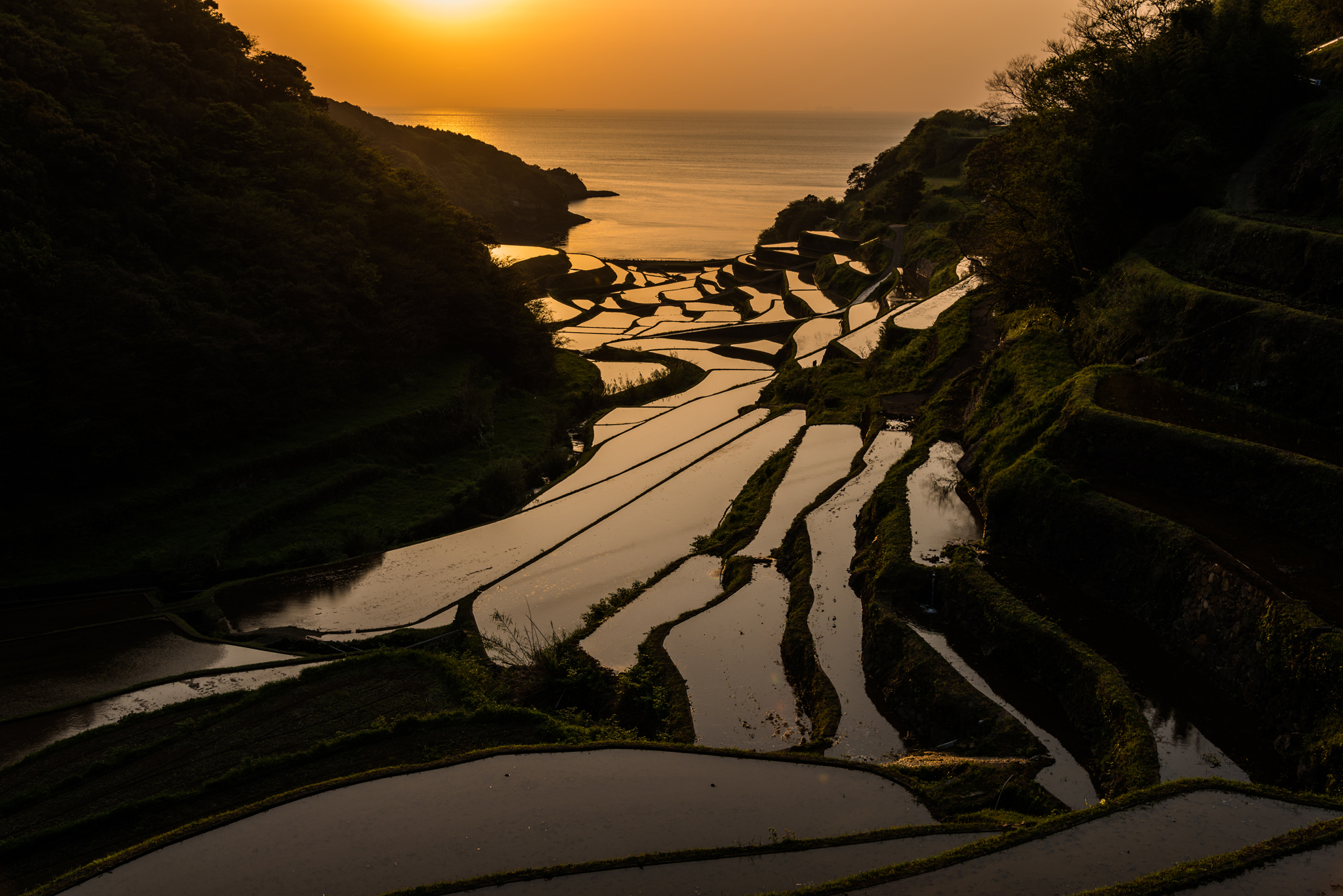 浜野浦2015.04.21_1824