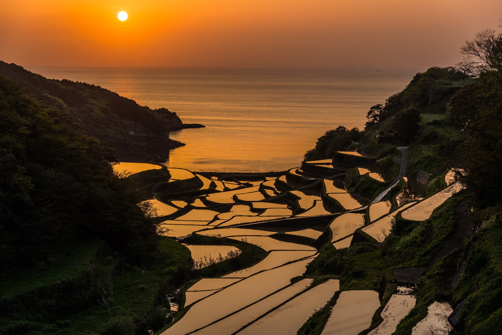 浜野浦2015.04.21_1840