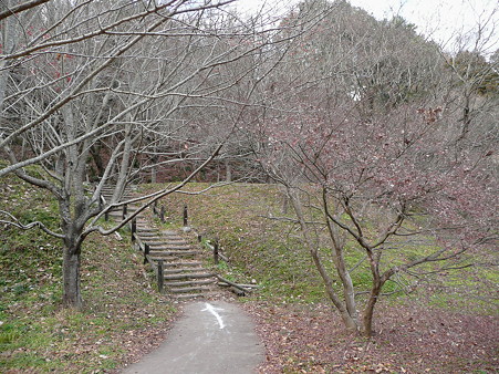 城池南側より東側へのルート