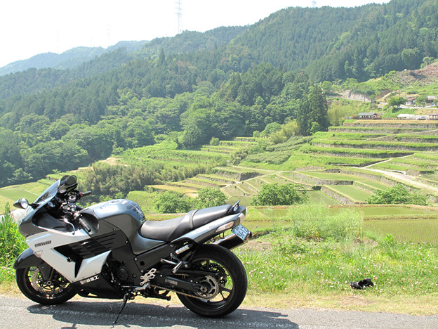 IMG_9453 坂折の棚田 写真: IMG_9453 坂折の棚田