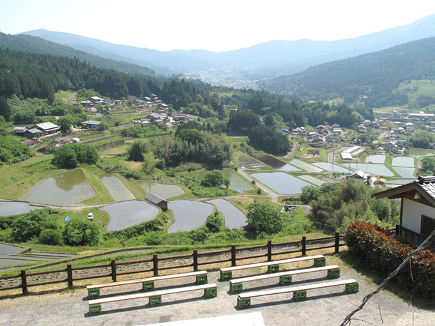 IMG_9447 坂折の棚田 写真: IMG_9447 坂折の棚田
