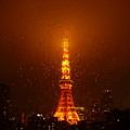 雨粒模様…夜