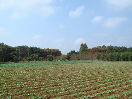 DSC05159