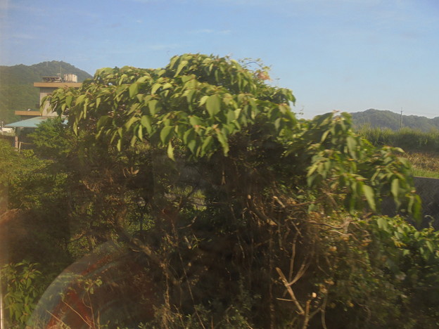 DSC07703