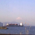 Photos: 今日の三保からの富士山はほんわり春霞？