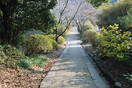 2012年01月09日_DSC_0397