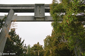 大分 八幡奈多宮