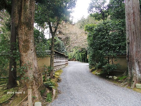 龍安寺 2015年01月11日_P1110010