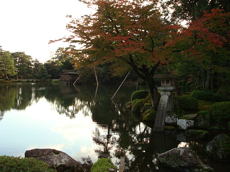 DSC00311