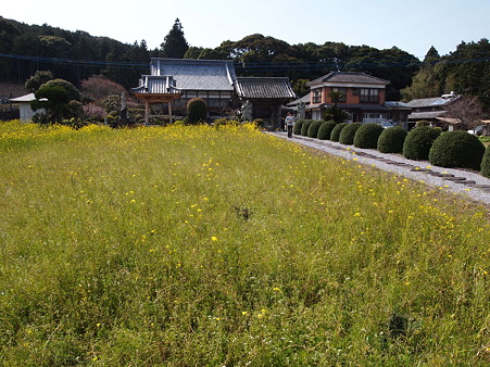 東光寺