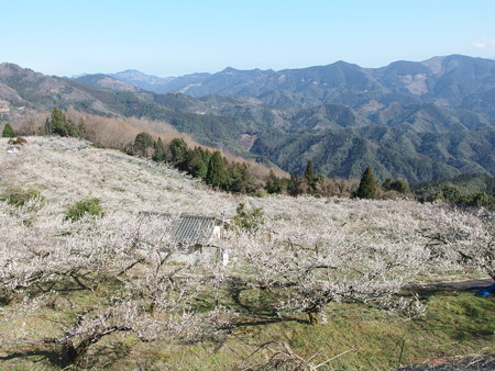 P3080200