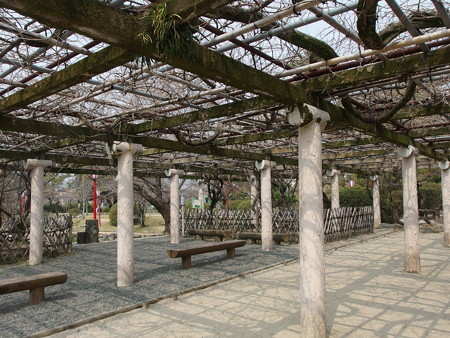 P3220458