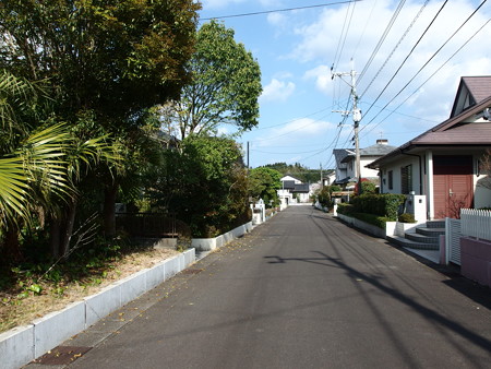 P4010916