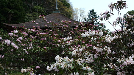 P4221403