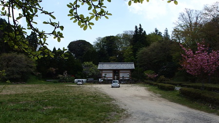P4221423