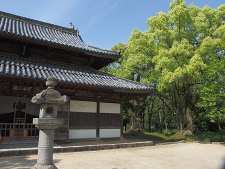 P5041563