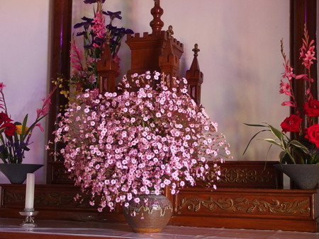 P5051653