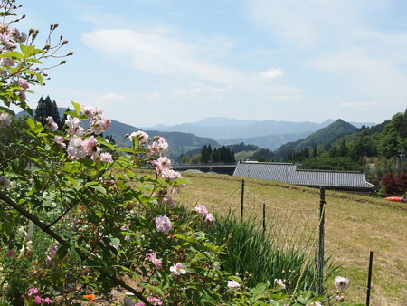 P5222020