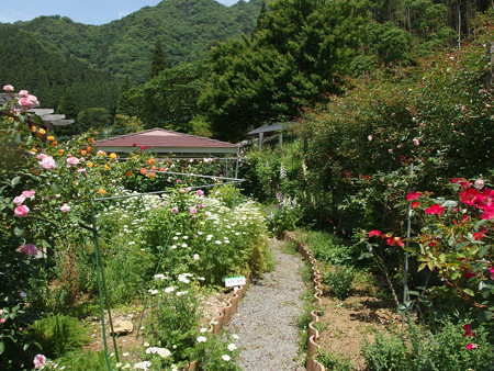 P5222030