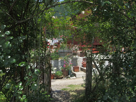 P5222049