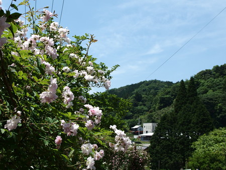 P5222054