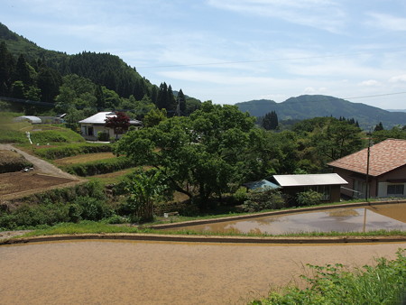 P5222056