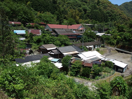 P5211919