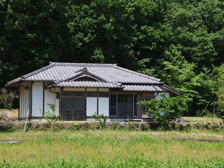 P5211936