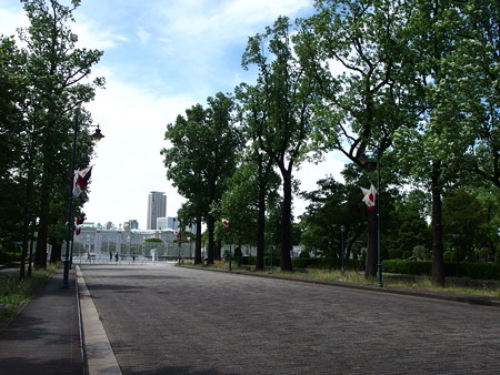 P6042204