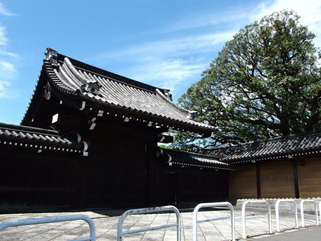 P6042219